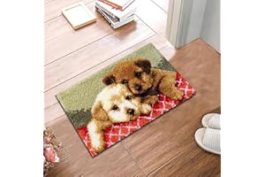 YAKOLECI Latch Hook Kits for Adults, Pre-Printed Handmade Rug Crochet Yarns DIY Door Mat Kits for Home Decor Festival Gift 19.6''X11.8'' (Two Puppies)