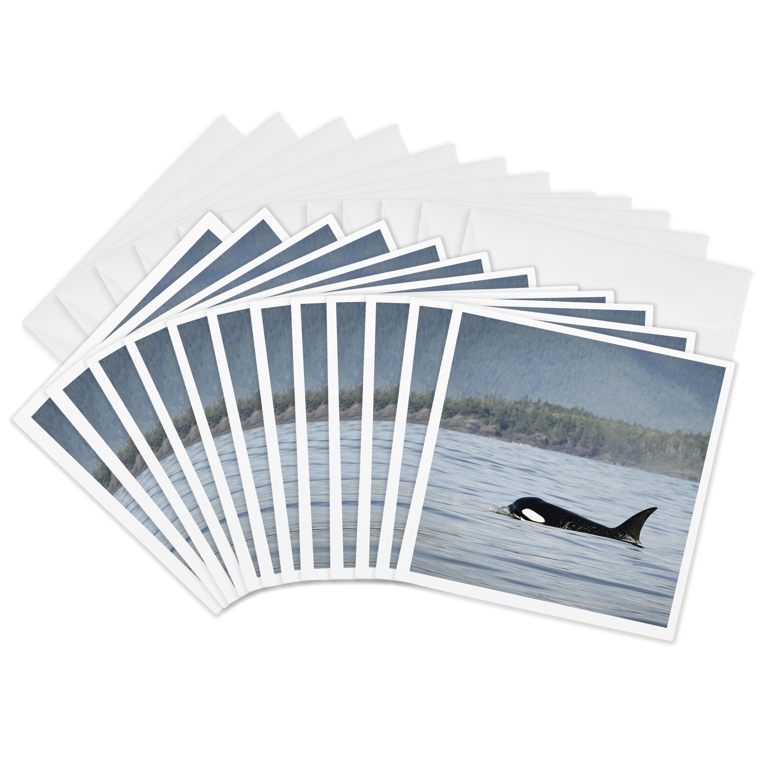 3dRose gc_135022_2 6 x 6-Inch "British Columbia/Vancouver Island/Clayoquot/Orcas Whales Cn02 Mfr0016 Mfr" Greeting Card
