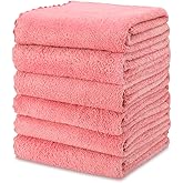 kimteny Kitchen Cloth Dish Towels, 13x28 Inches Premium Dishcloths, Super Absorbent Coral Velvet Microfiber Cleaning Cloths, Fast Drying Rags for Washing Dishes (13x28-6 Pack, Pink)