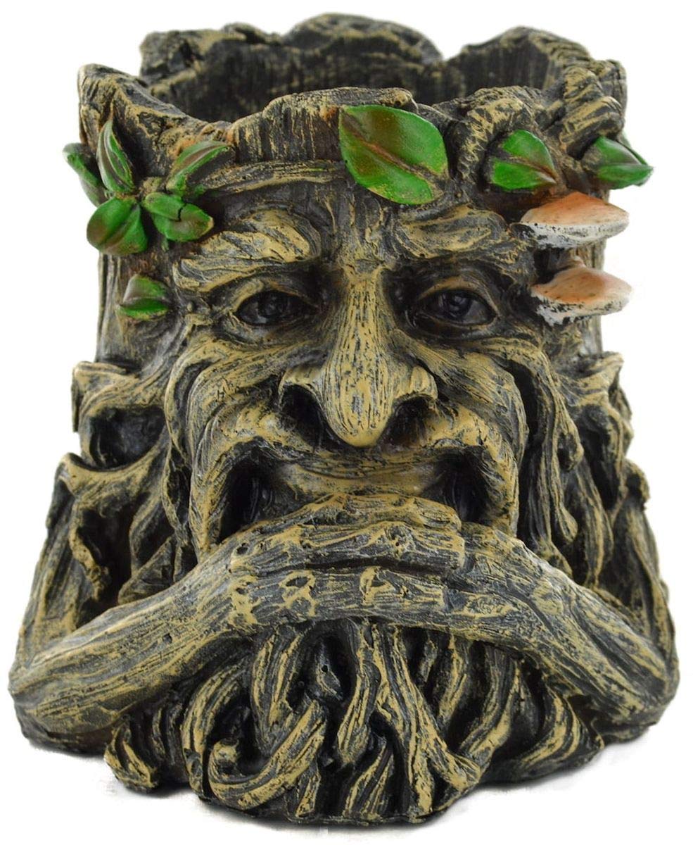 Fiesta Studios Tree Ent - Pot Holding Beard Novelty gift Garden Decor Plant Holder Fantasy Figure H14cm