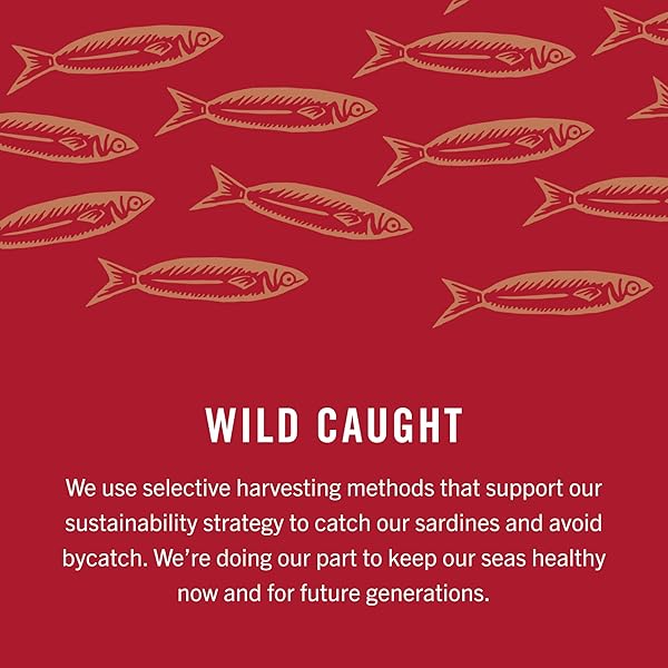 KING OSCAR WILD CAUGHT SARDINES IN EXTRA VIRGIN OLIVE OIL 3.75 OUNCE (PACK OF 4)