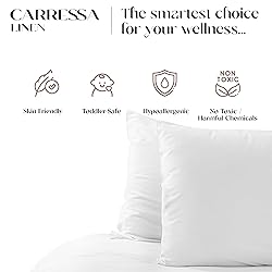 Carressa Linen 100% Organic Cotton Pillowcases Set