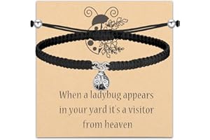 FAADBUK Ladybug Memorial Keychain When a Ladybug Appears In Memory of Love One Sympathy Gift