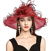 2026 Derby Hat, Classy Sun Hat for Women Ladies, Organza Feather Kentucky Fascinator for Tea Party Church UV Protection