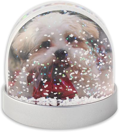 Adventa Snow Dome with Metallic Grey Base Photo Globe