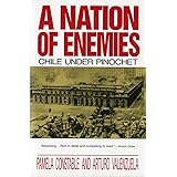A Nation of Enemies: Chile Under Pinochet (Norton Paperback)