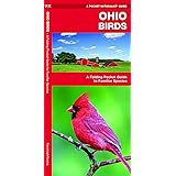 Birds of Ohio Field Guide, Second Edition: Stan Tekiela: 9781591930600