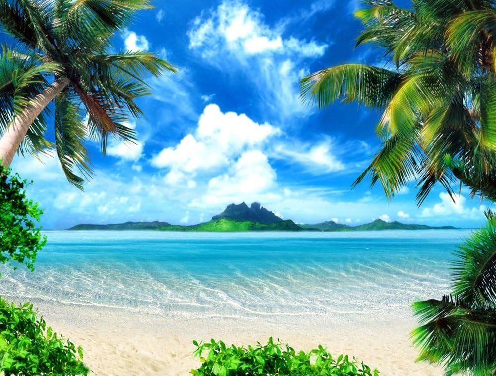 Haosphoto 7X5FT Tropical Beach Backdrop Island Coconut Palm Blue Sky White Cloud Nature Summer Journey Ocean Sailing Vinyl Photography Background Kids Adults Wedding Photo Studio Props RM112 - Image 4