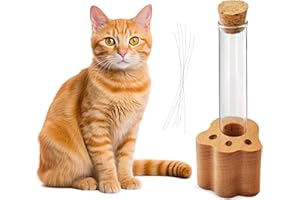 ALLENKWOK Cat Whisker Jar, Mini Glass Vase for Whiskers, Cat Whisker Holder, Elegant Memorial Gift for Pet Lovers