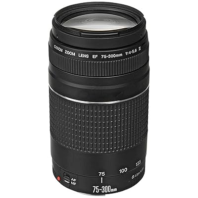 Buy Canon Ef 75 300mm F 4 5 6 Iii Telephoto Zoom Lens With 2x Telephoto Lens Hd Wide Angle Lens Filters And Accessories 19 Piece Bundle Online In Indonesia B08qvgkjsn