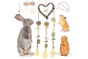 DAMPET Bunny Chew Toys， Bunny Teeth Grinding Chew Toys, Rabbit Cage Hanging Chew Toys, All Natural Materials for Guinea Pigs, Hamsters, Rabbits and Rats