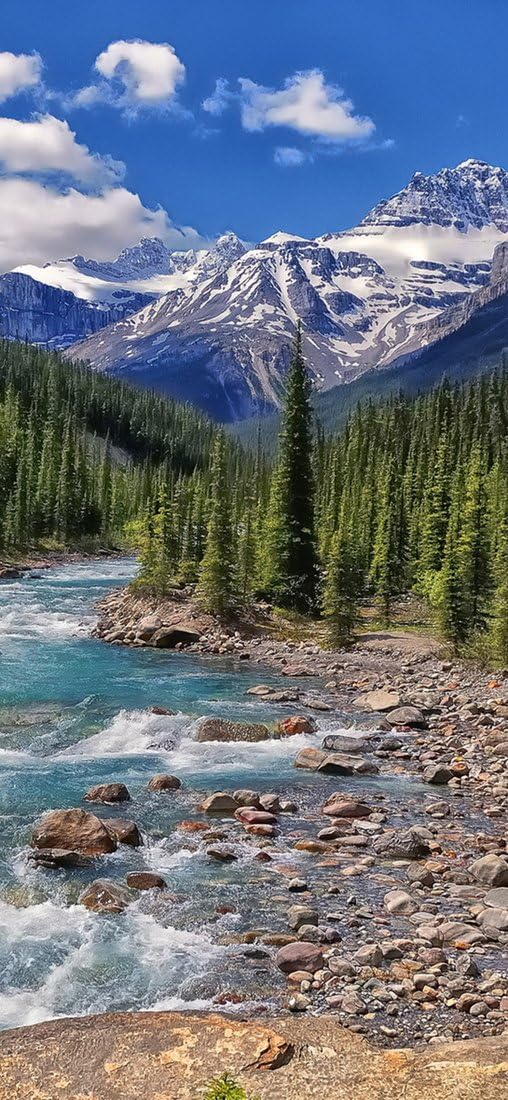 PeelitStickit, Beautiful Nature Wall Murals, ID-2825, vinyl, Multi-colour