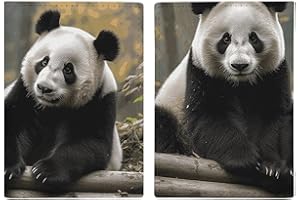 Two Big Pandas Passport Holder Travel Wallet Slim Minimalist Front Pocket Leather Credit Card Holder Passport Wallet Cover Ca