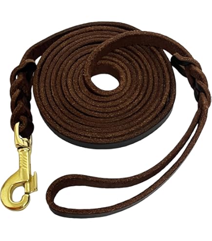 Amazon.com : Leatherow 10 FT Braided Full Grain Leather Dog Leash