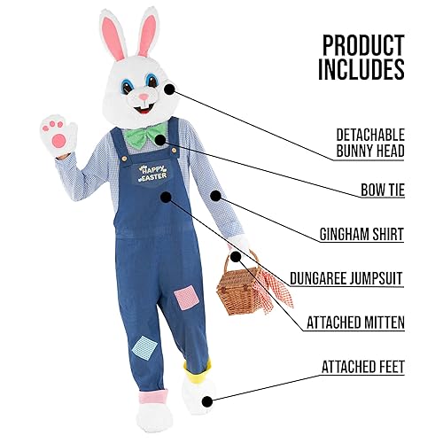 Happy Easter Male Dressed Up As A Bunny Bunny Costume Hicarer