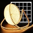 intelamp Solar LED Strip Lights,32.8FT 6000mAh Large Capacity Solar String Lights for Outside,IP68 Waterproof Solar Rope Light with Remote for House,Garden,Balcony,Pool,Tree Decorations,Warm White