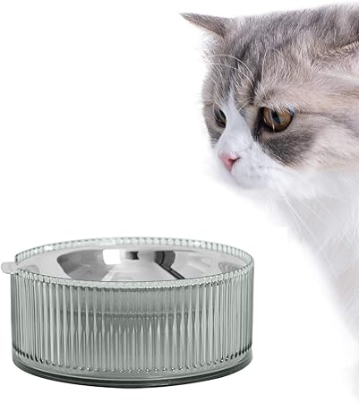 no bowl cat feeder amazon