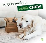Benebone Four Pack Small Dog Chews Wishbone Fishbone Zaggler Maple Stick view 2