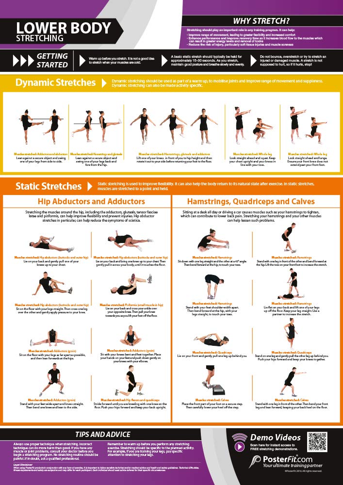 Lower Body Stretching | Dynamic & Static Stretches | Laminated Home & Gym Poster | FREE Online Video Training Support | Size - 594mm x 420mm (A2) | Improves Personal Fitness & Flexibility
