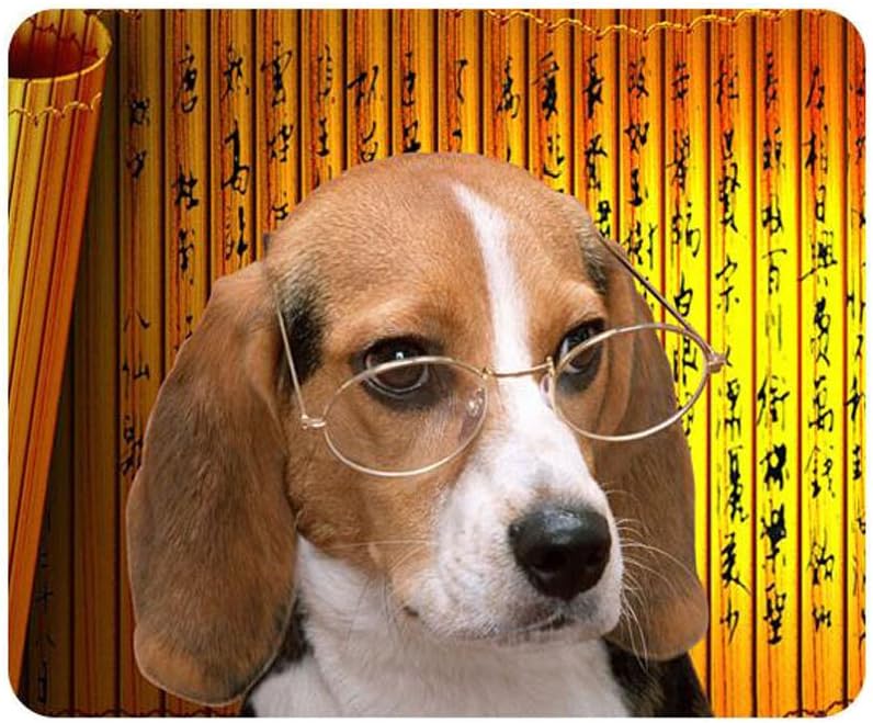 vintage sunglasses usa