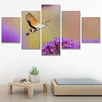 SIGNWIN 5 Panel Canvas Wall Art Modern Art Bee Butterfly Colorful Contemporary Insects Multicolor Photography for Home Decorations Ready to Hang - 60