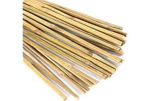 YOWLIEU 20 Pcs 18 Inch Natural Bamboo Plant Support Stakes for Indoor Plants, Bamboo Sticks Poles Garden Bamboo Stakes for Potted Plants, Tomato, Beans