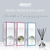 airpure Reed Diffuser 100ml Island Sunset Fragrance with 8 Black Reeds view 6