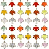 Youdiyla 54pcs Alloy enamel maple leaf set series Pendant Jewelry Making DIY Keychain Earrings Pendant Various Design Charms for Jewelry Making Bracelets Necklace (SN277)