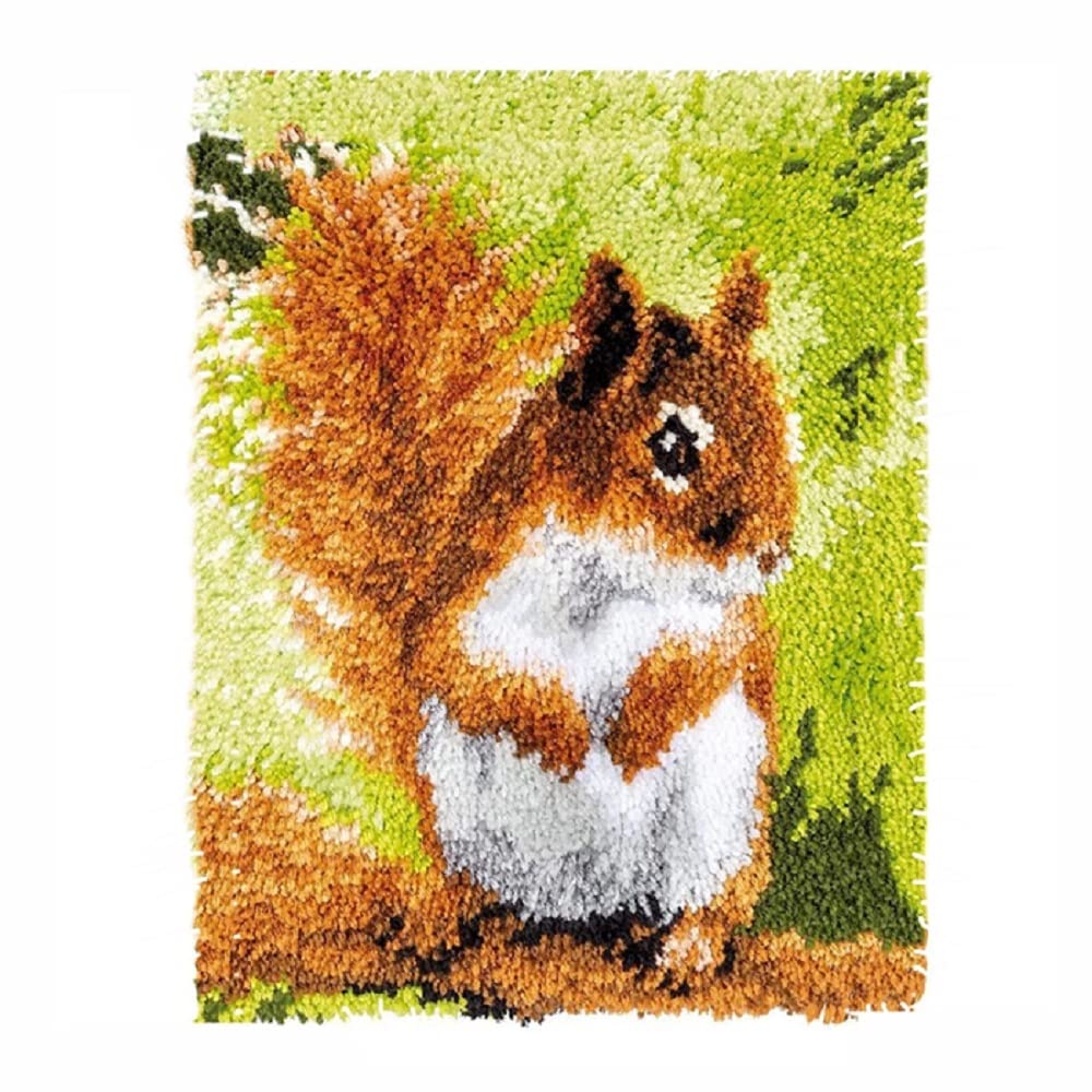 Latch Hook Rug Making Kit for Adults, 52x38cm - DIY Color Printed Squirrel Rug & Cushion Kit