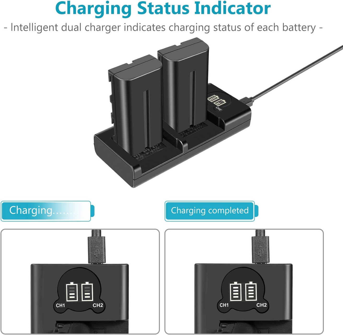 Neewer NP-F550 Battery Charger Set for Sony NP-F970 F750 F960 F530 F570 CCD-SC55 TR516 TR716 and More (2-Pack 2600 mAh Replacement Camera Batteries, Micro USB and Type-C Input Dual Charger): Home Audio & Theater
