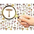 Nail Stickers Decal Transfers (5 Sheets) FLONZNAIL Mushroom Watercolor Vintage Illustration