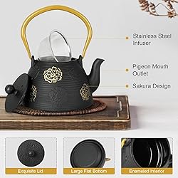 Ufine Cast Iron Teapot with Infuser for Loose Leaf