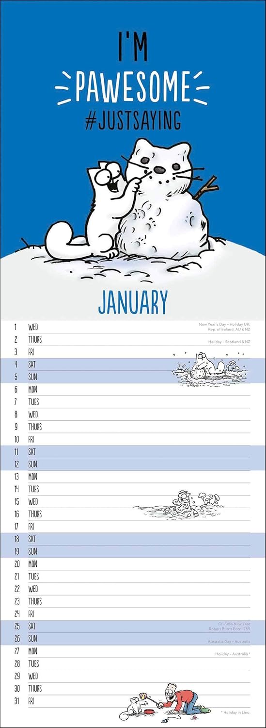 Illustrated By Simon Tofield Oth 105706 Simons Cat Humorous 2020 Slim Calendar Wall Calendars Stationery Office Supplies