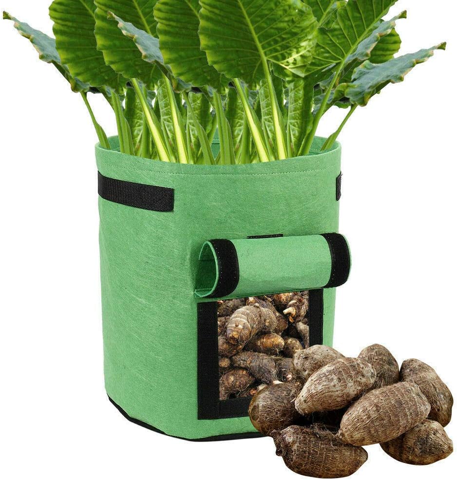 VOANZO 3 Pcs Green Potato Bags hook and loop Window Vegetable Bags For Potato Tomato And Other Vegetables Breathable Nonwoven Fabric Cloth - Image 4