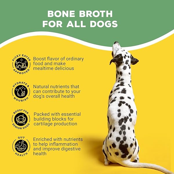 BRUTUS BONE BROTH LIQUID FOR DOGS | ALL NATURAL | MADE IN USA | GLUCOSAMINE & CHONDROITIN FOR HEALTHY JOINTS | HUMAN GRADE INGREDIENTS | HYDRATING DOG FOOD TOPPER, GRAVY & TREAT (PORK)