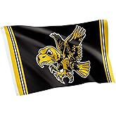 Desert Cactus University of Iowa Flag Hawkeyes Banners 100% Polyester Indoor Outdoor 3x5 feet Flags (Vintage A)