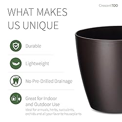 Crescent Too Eva Decorative Planter Modern
