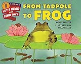 From Tadpole to Frog