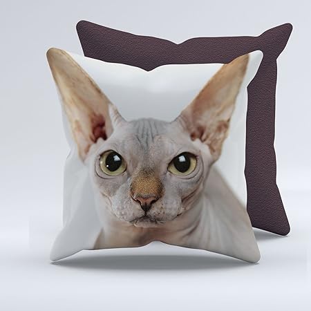 Sphynx Cat Cushion Throw Pillow Cuscino Incluso Nero 57 X 57 Cm Amazon It Casa E Cucina
