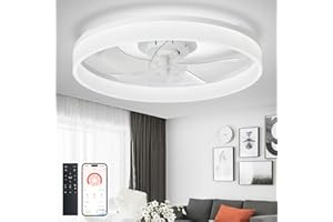 DINGLILIGHTING DLLT Modern Ceiling Fans with Lights: 20" Flush Mount Low Profile Ceiling Fan with APP Remote Control - White LED Bladeless Fandelier Dimmable Quiet DC Motor for Bedroom Living Room