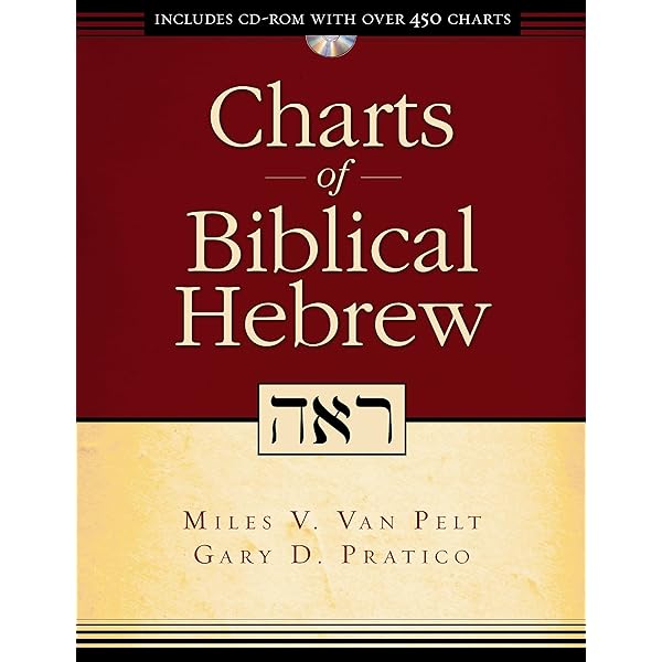 A concise Hebrew and Aramaic Lexicon 　OT A Concise Hebrew and Aramaic Lexicon of the Old Testament HC