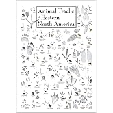 Amazon.com: Earth Sky + Water - Land Mammals of Eastern North America ...