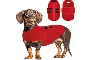 Queenmore Small Dog Sweaters, Soft Fleece Vest Pullover Dog Jacket with Leash Hole, Warm Winter Dog Clothes Cold Weather Doggy Dachshund Sweater for Small Dogs Cats Boy or Girl (Red, S)