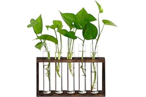 XXXFLOWER Plant Terrarium Wooden Stand with 5 Test Tubes,Glass Planters for Indoor Plants,Plant Lover Gifts for Women Garden Office Decoration