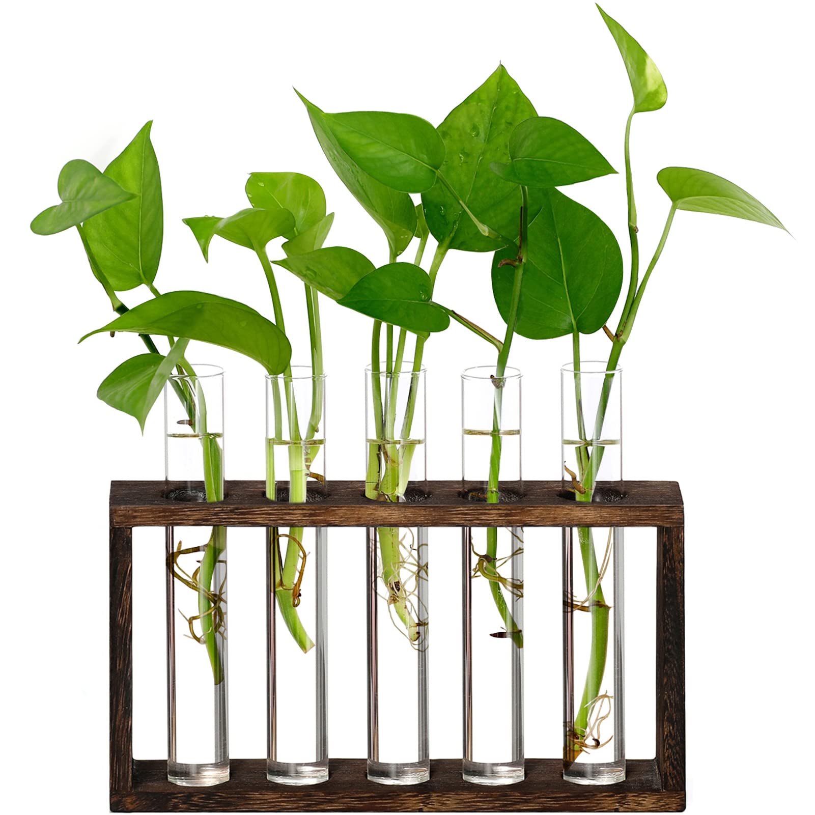 Photo 1 of XXXFLOWER Plant Terrarium Wooden Stand with 5 Test Tubes,Glass Planters for Indoor Plants,Plant Lover Gifts for Women Garden Office Decoration