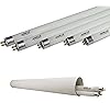 Apollo Horticulture 4 FT 6400K T5 Fluorescent Grow Light Bulbs - Pack of 5