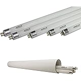 Apollo Horticulture 4 FT 6400K T5 Fluorescent Grow Light Bulbs - Pack of 5