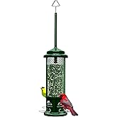 Squirrel Buster Legacy Squirrel-Proof Bird Feeder for Wild Birds – 4 Metal Removable Perches, 2.6 lb Seed Capacity, Chew-Proof Design, Easy to Clean, Green