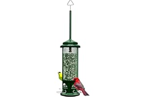 BROME Squirrel Buster Legacy Squirrel-Proof Bird Feeder for Wild Birds – 4 Metal Removable Perches, 2.6 lb Seed Capacity, Chew-Proof Design, Easy to Clean, Green