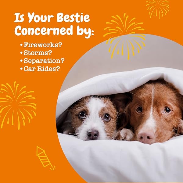 ZESTY PAWS CALMING CHEWS FOR DOGS – FOR EVERYDAY STRESS, RELAXATION, COMPOSURE, AND SEPARATION TURKEY 90 COUNT